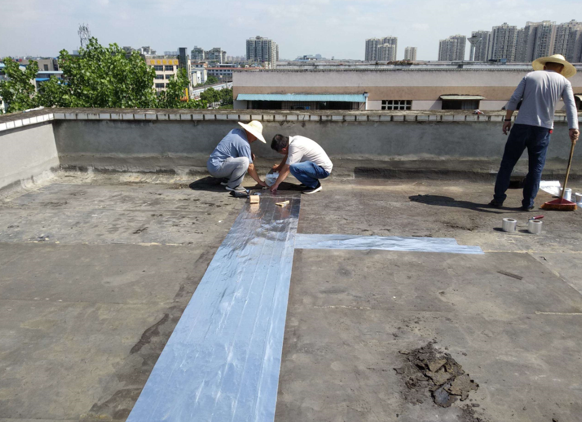 �ݶ���ˮ������ (2).png