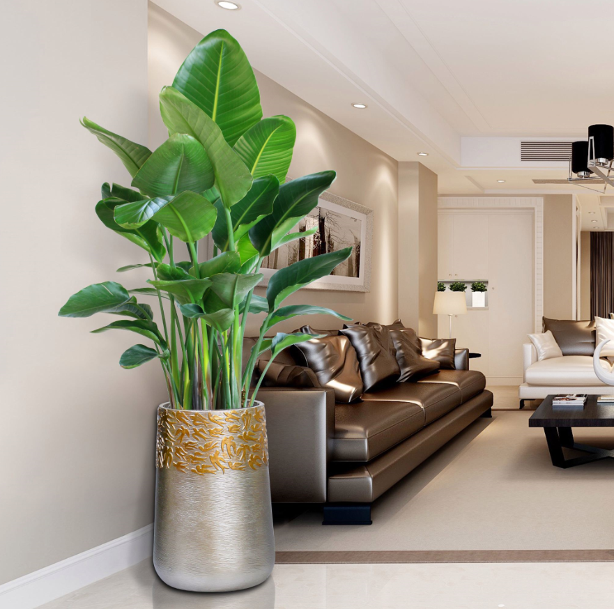 �ʺ���������ֲ�ﻨ�� (1).png