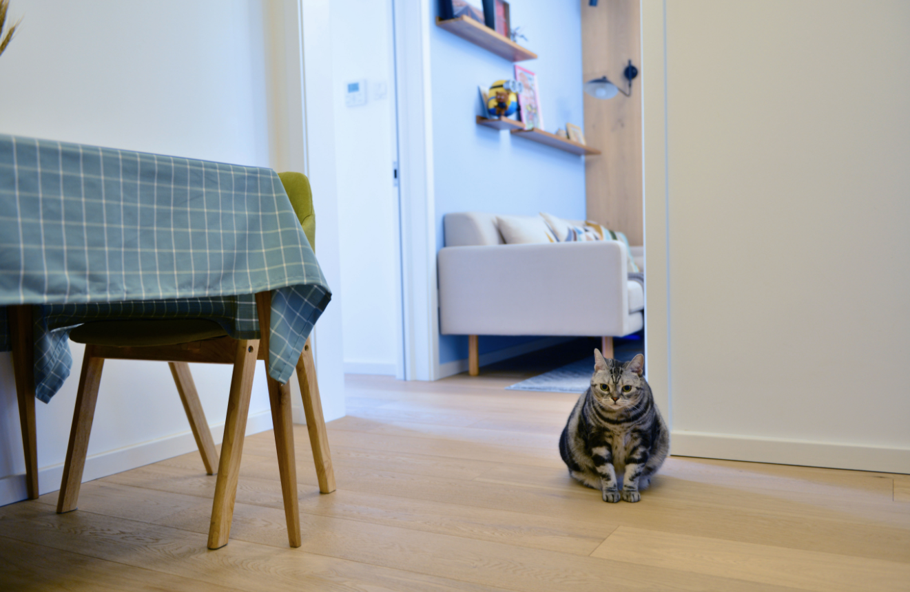 �ذ����ߴ� (2).png