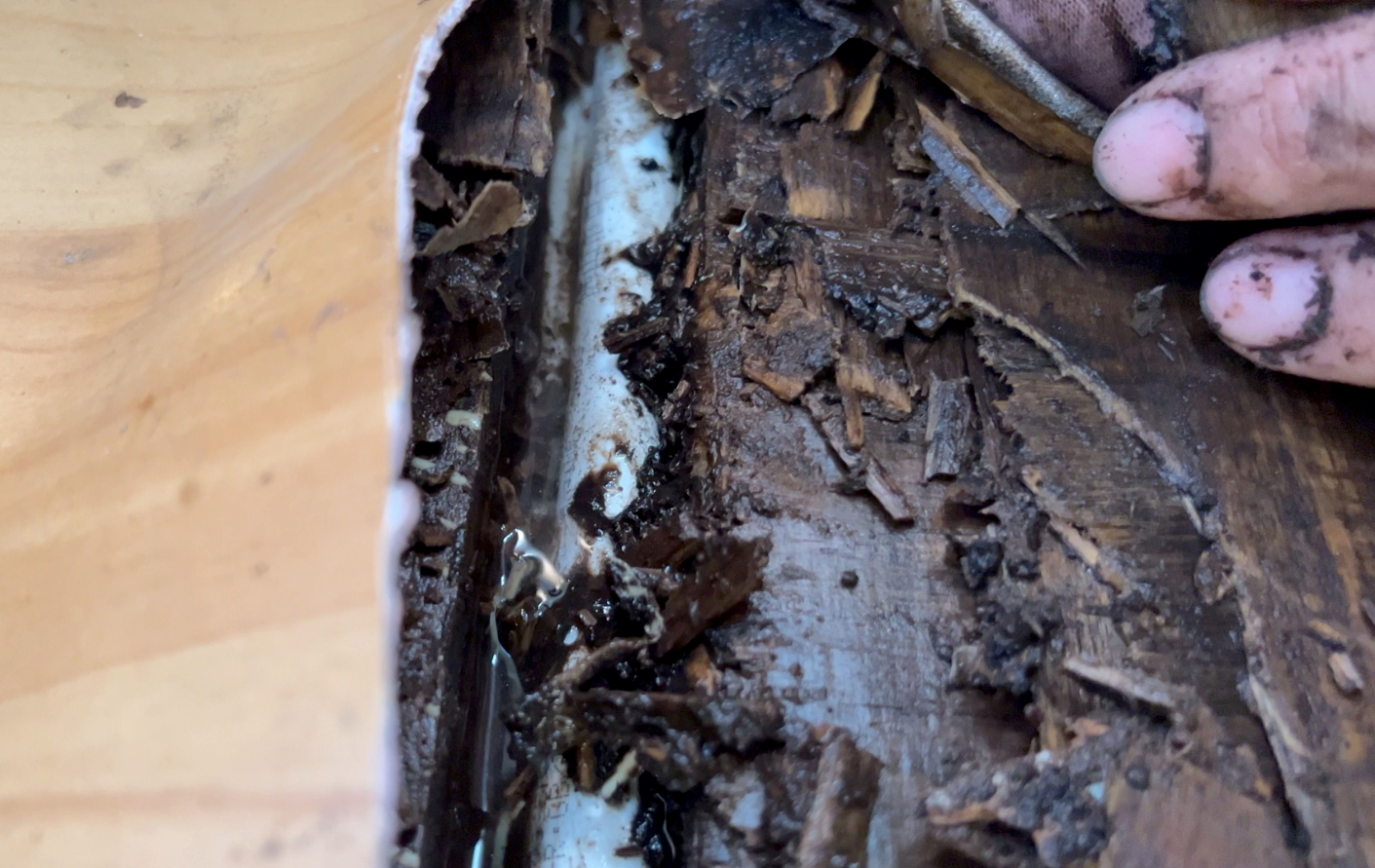 ľ�ذ���ˮ����ô���� (2).png