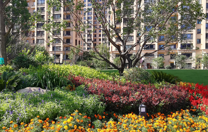 ��ҵ�����ѵ��շѱ�׼ԭ�� (2).png