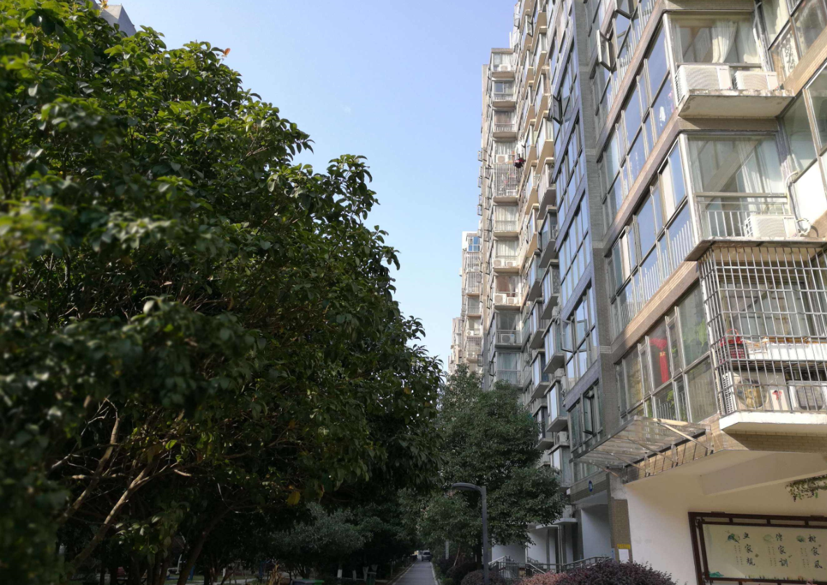 ���ز�����֤��������֤�أ� (3).png