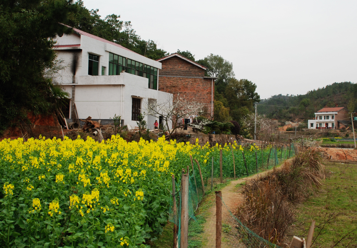 ���ڡ��ɳ�ת�硱�ſ����ﵽ�����ľͿ�Ǩ���ش� (2).png