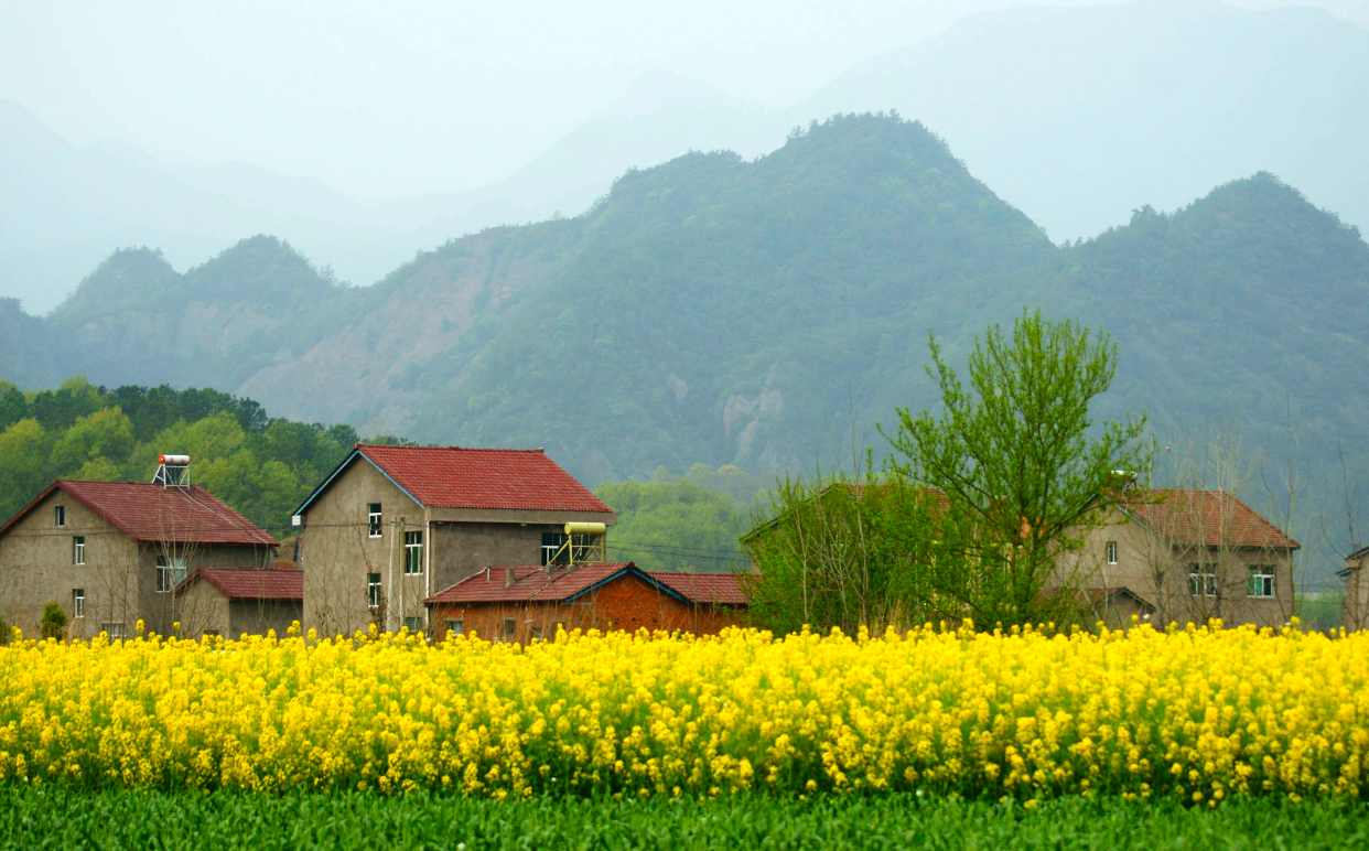 ��ô��������Ǩ������ (2).png