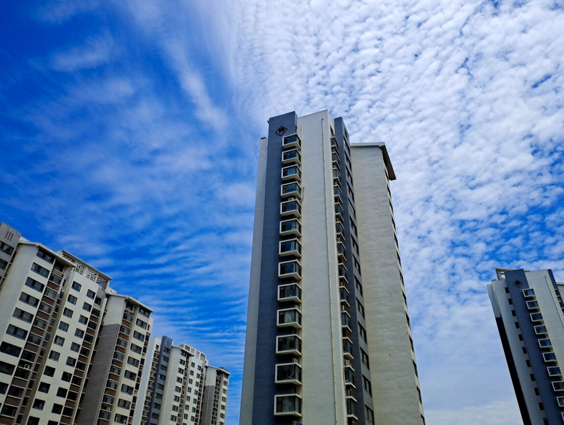 ��������ס����¥��ü��� (2).png