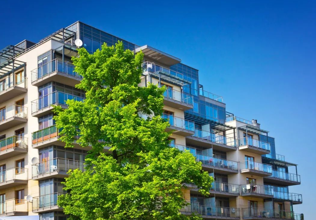 ������ס��¥��������� (2).png