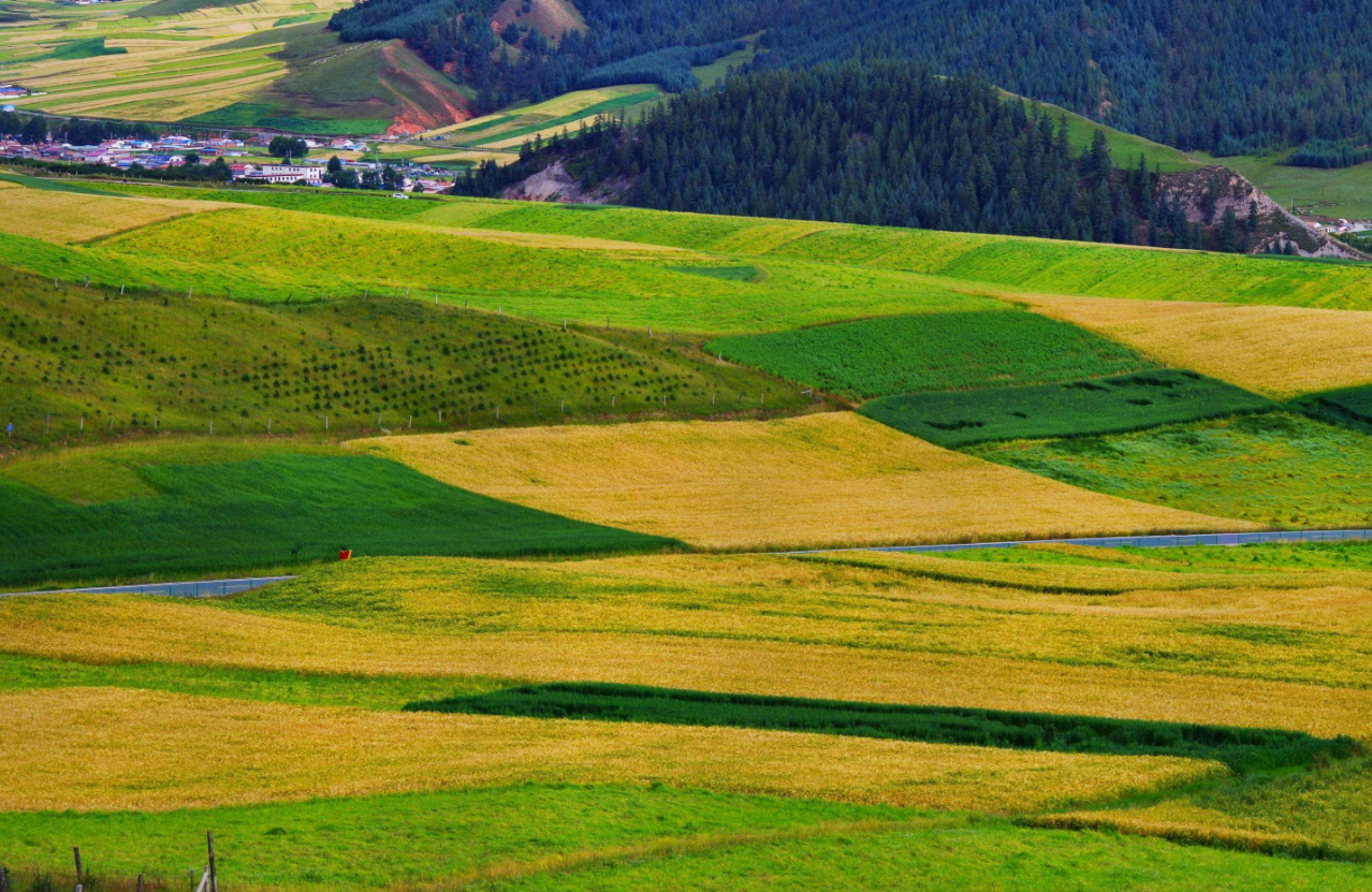 һĶ���ֵ�ָ����ʲô�� (1).png