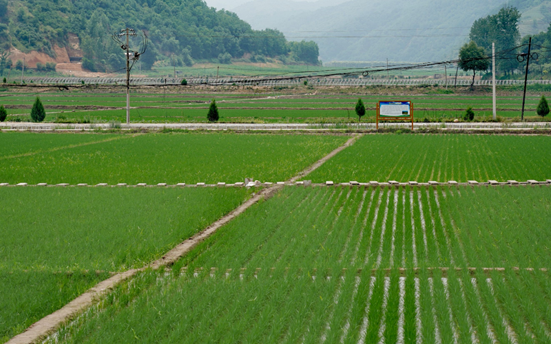 һĶ���ֵ�ָ����ʲô�� (2).png