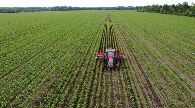 ��ô�����Լ���ص�Ķ�� .png