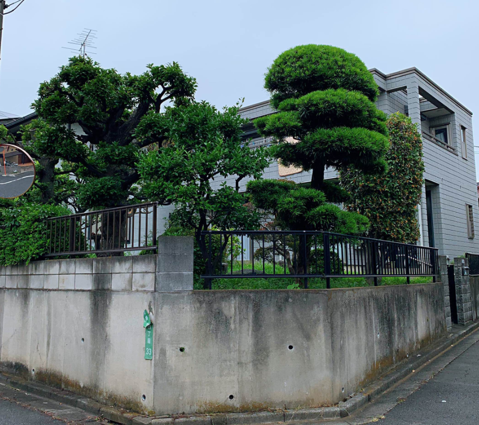 ������Ԣ��������ʲô (2).png