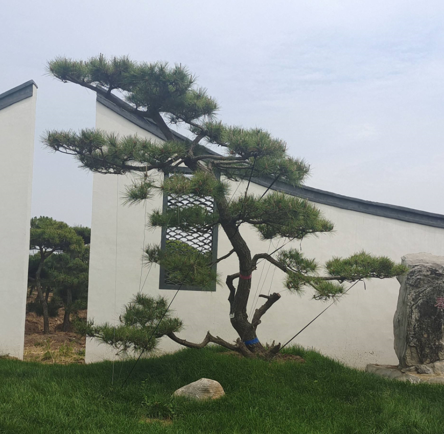 �����ķ�ˮԢ�� (2).png