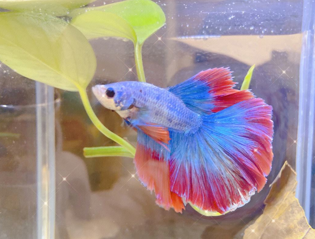 �����ķ�ˮ������Щ (2).png