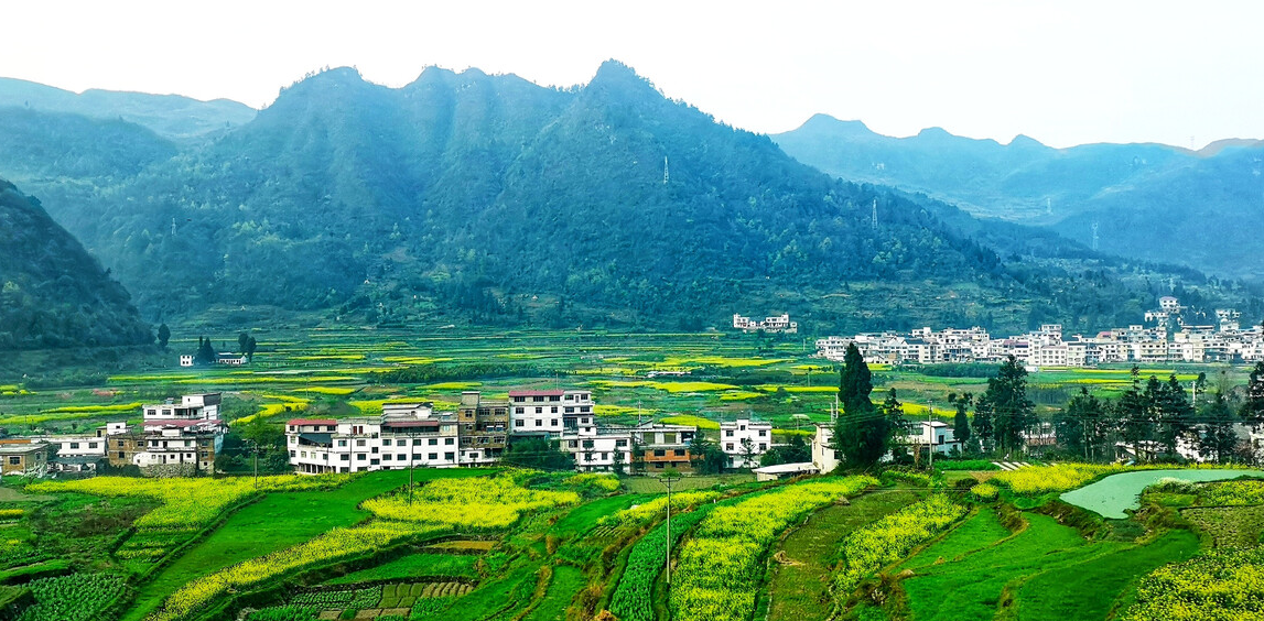 ʲô����·��Խ��Խ�� (2).png