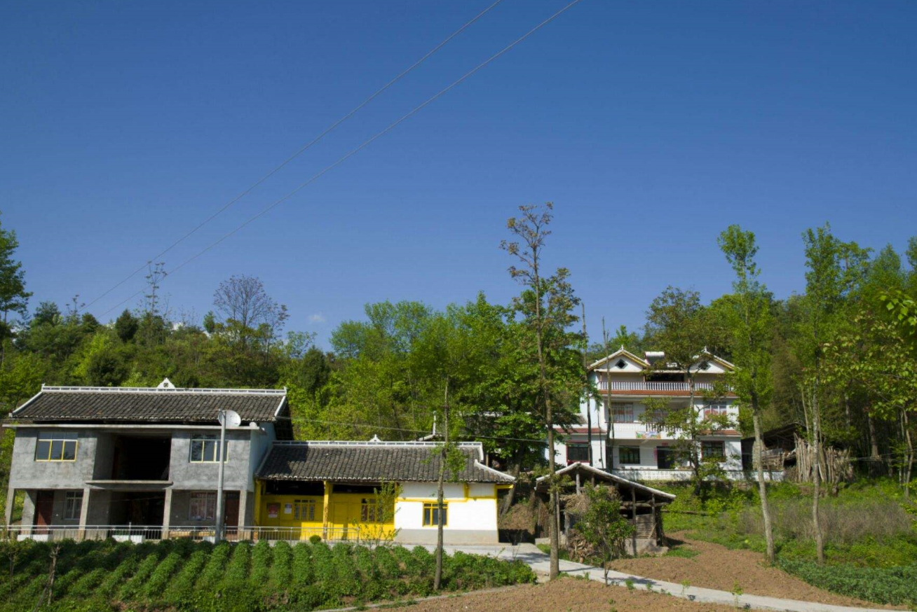 ʲô����·��Խ��Խ����·������Щ��� (2).png