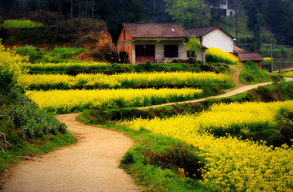 ʲô����·��Խ��Խ����·������Щ��� (1).png