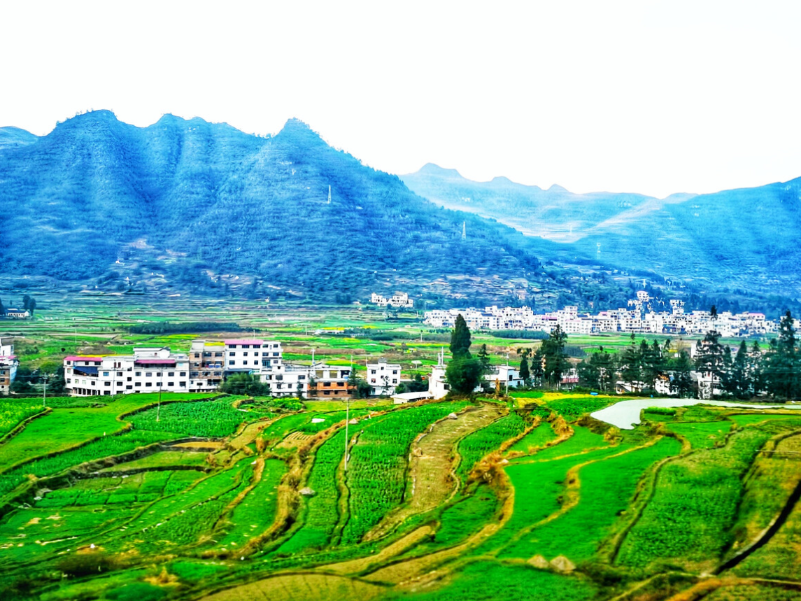 ʲô����·��Խ��Խ����·������Щ��� (3).png