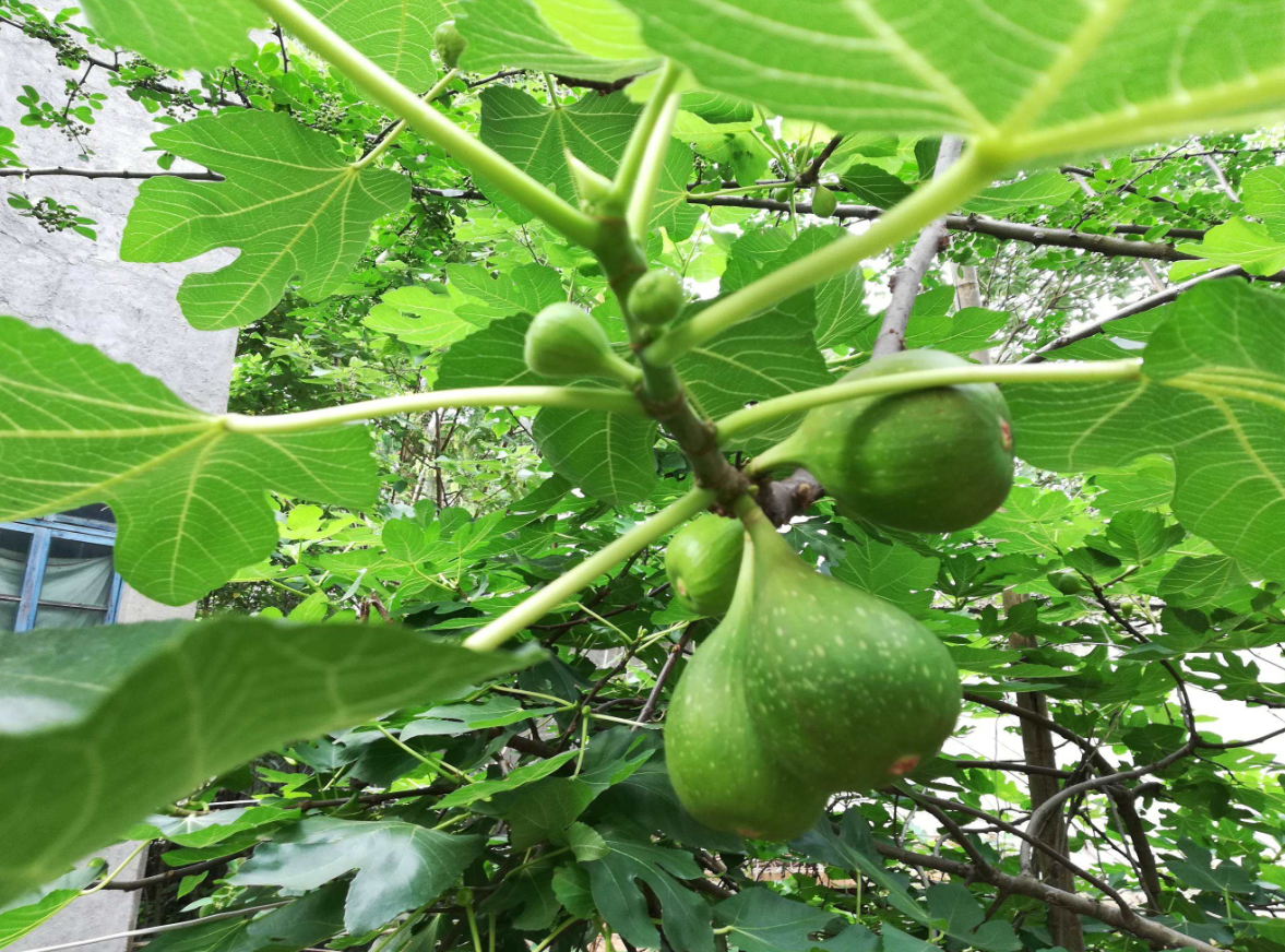 �����޻�����Ϊʲô������ (2).png