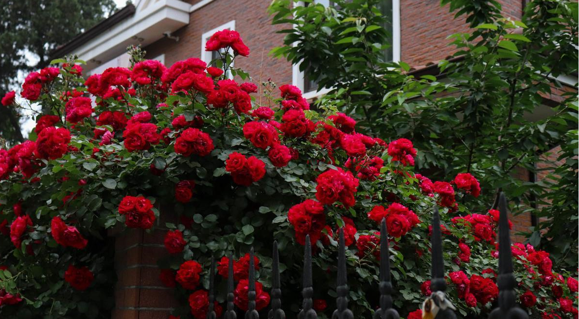 ��������Ҫע��ʲô�� (2).png