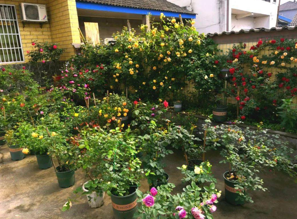 ��������Ҫע��ʲô�� (3).png