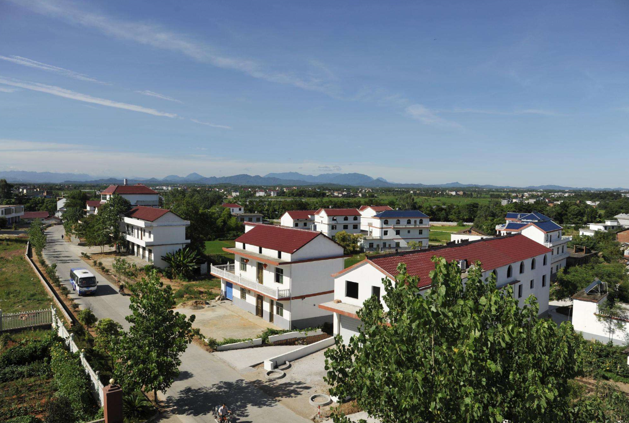 ����լ����ת�õķ��ɹ涨����Щ (2).png