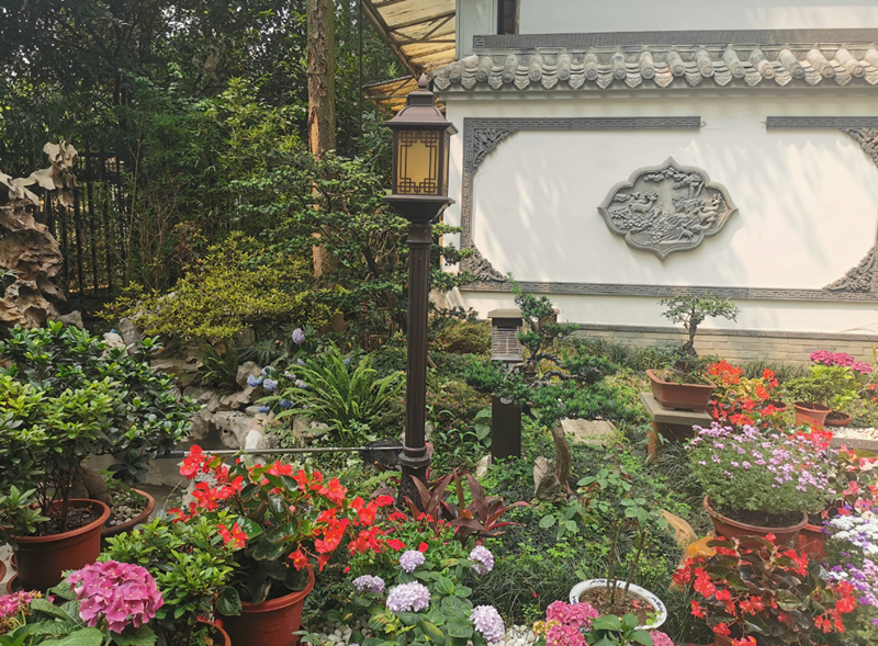 ��ʽ���ͥԺ���ԭ�� (2).png