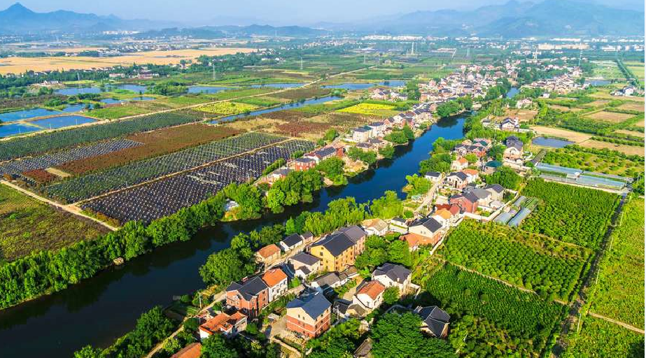 ����������ϱ��յĽɷ� (2).png