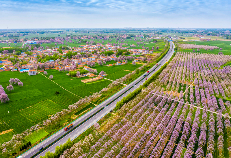 ��������ķ�������Щ (2).png