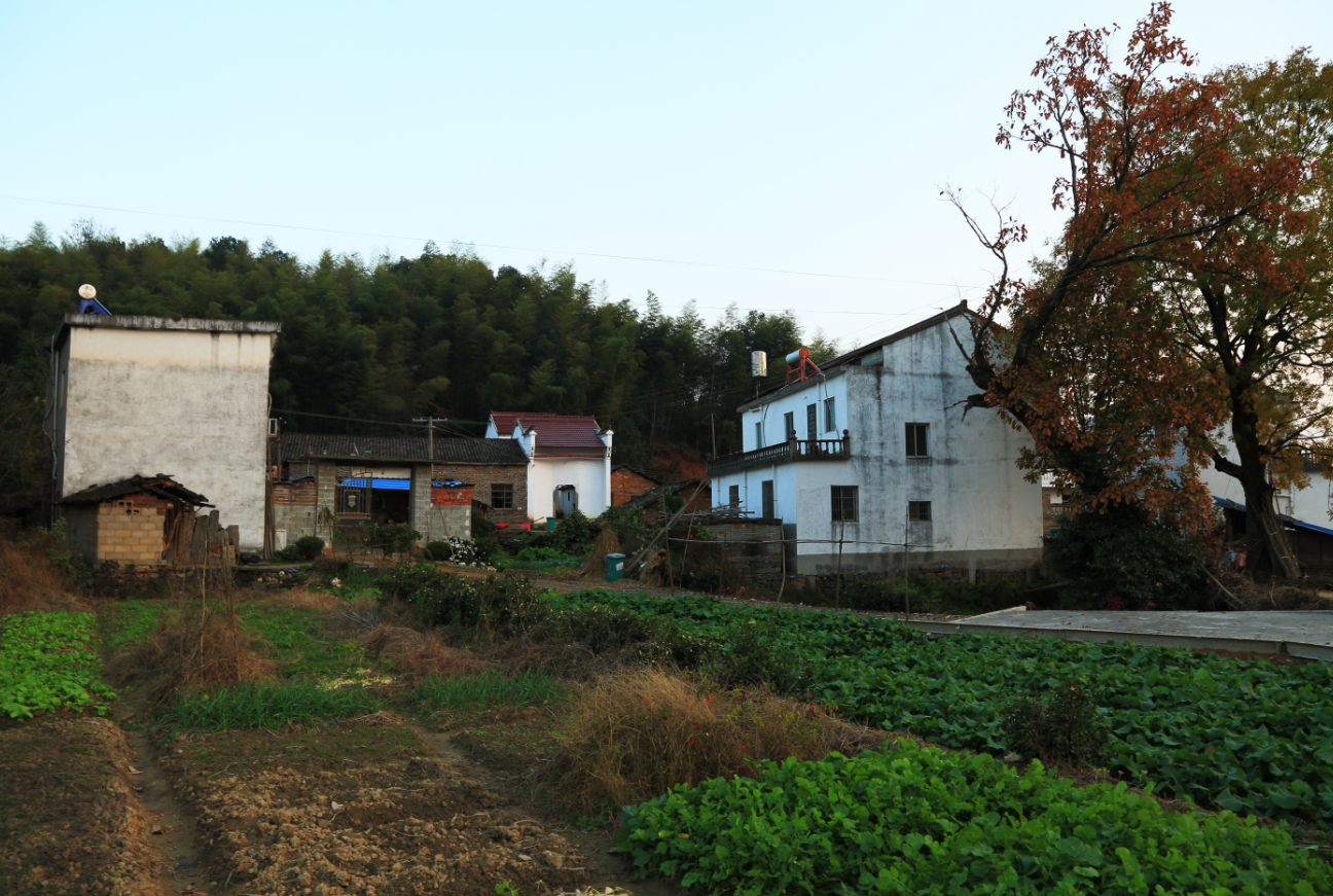 �����ڵ����Ӧ����ô�㣿 (2).png