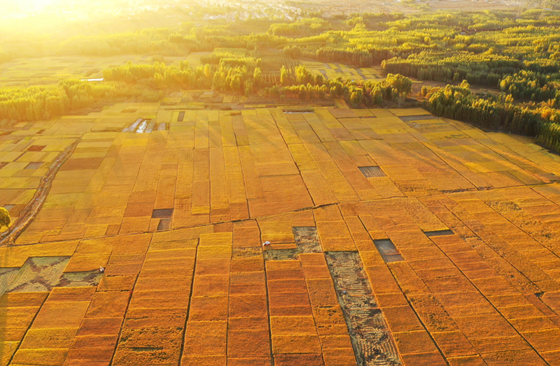 2023ũҵ����ÿĶ����Ǯ (2).png