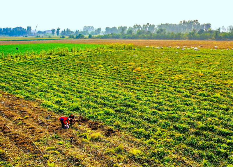 �ֵػ�����������Щ������ (2).png