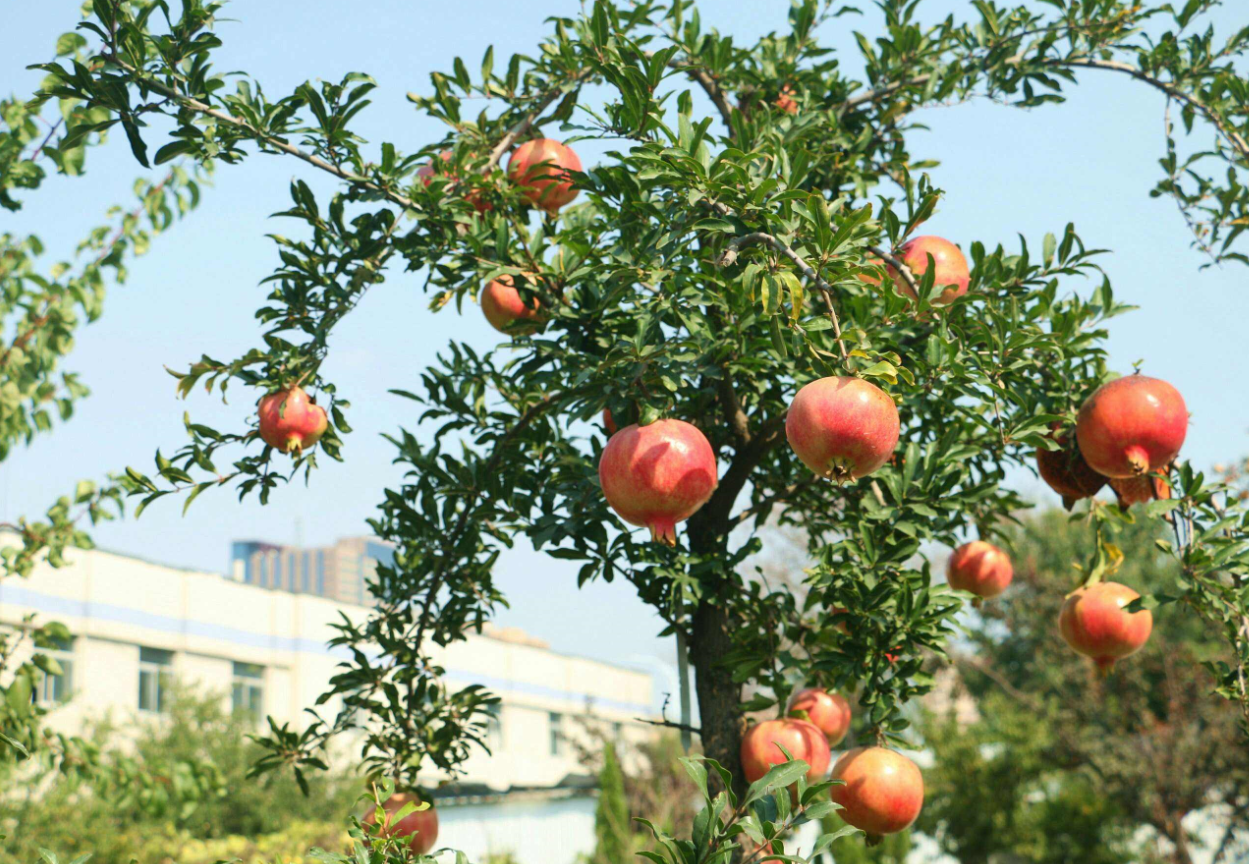 ʯ�����ƲƷ�ˮ ��ʲô����.png