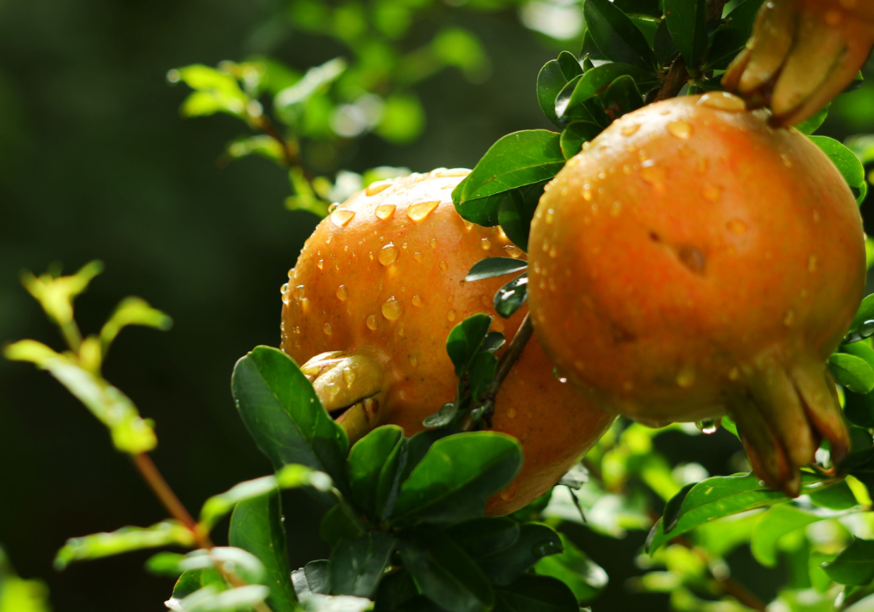 ʯ�����ƲƷ�ˮ ��ʲô���� (2).png