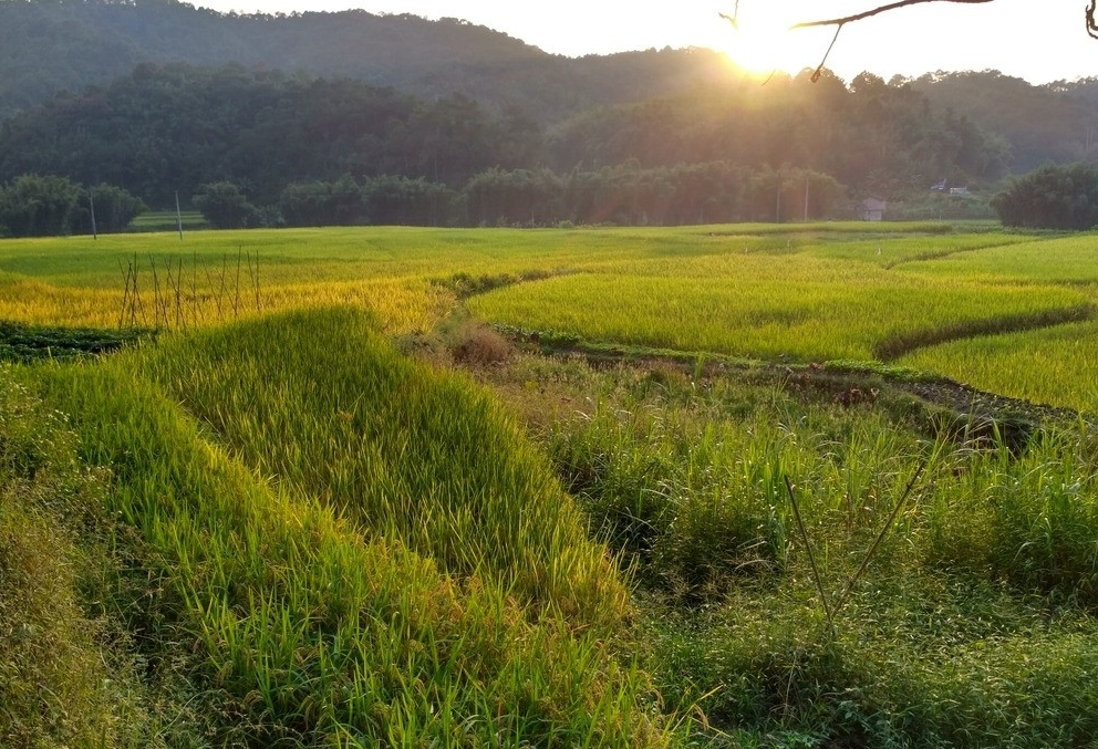拆迁违建房屋的标准是怎样的?.png 拆迁违建房屋的标准是怎样的?.png