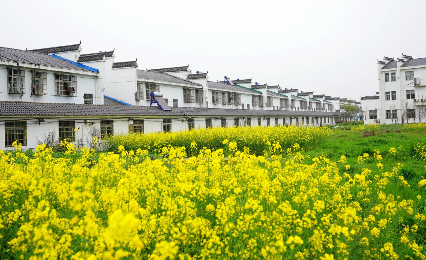 哪一种违建房可以不拆或缓拆.png 哪一种违建房可以不拆或缓拆.png