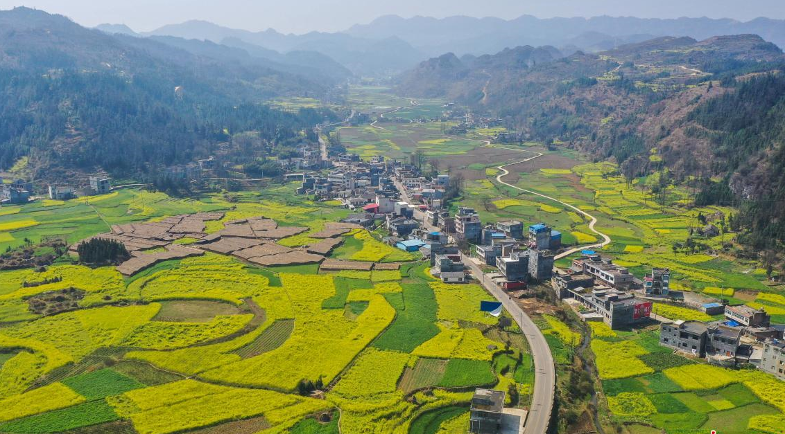 农村这三种违建可不拆.png 农村这三种违建可不拆.png