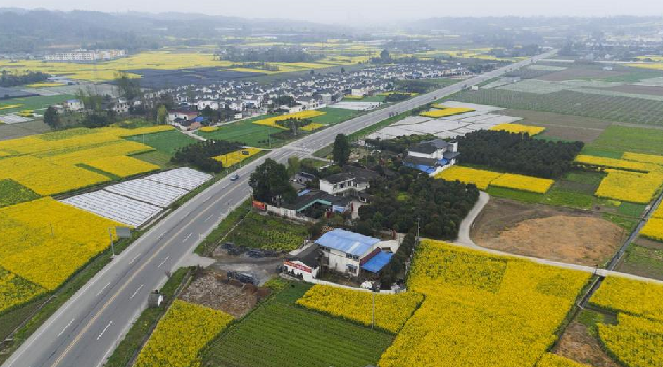 农村这三种违建可不拆 (2).png 农村这三种违建可不拆 (2).png