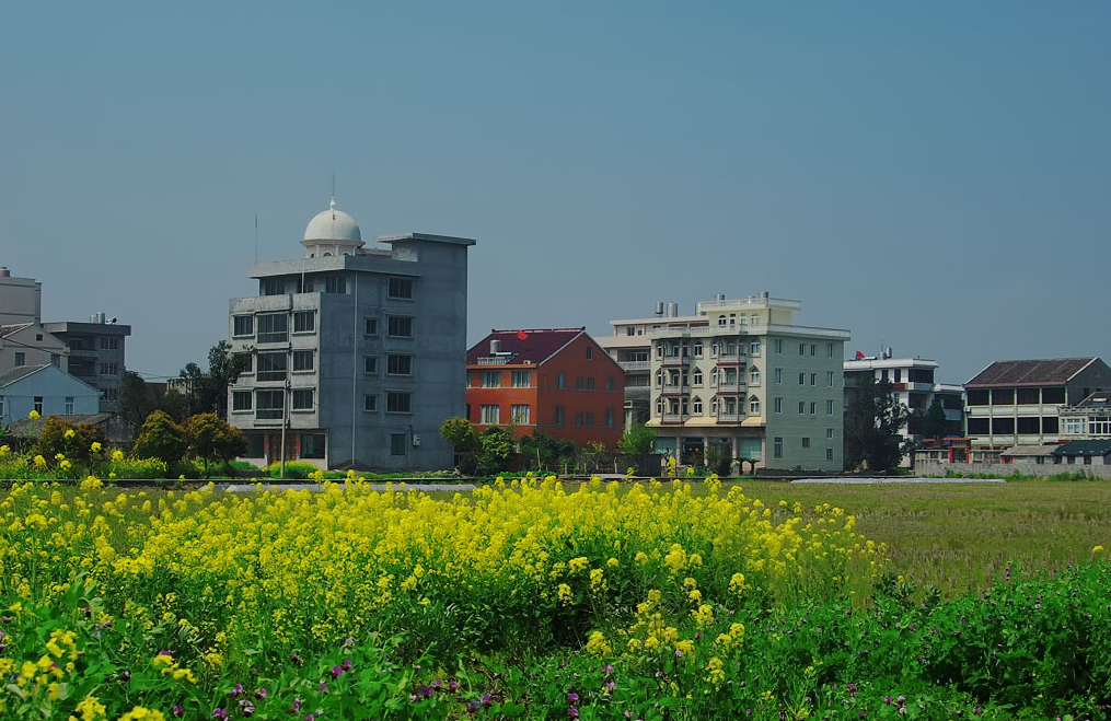 哪些违法建筑会被拆除.png 哪些违法建筑会被拆除.png