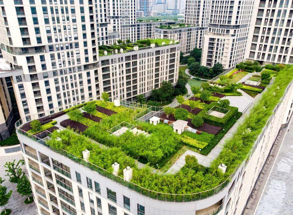 屋顶花园设计理念和技巧 (3).png 屋顶花园设计理念和技巧 (3).png