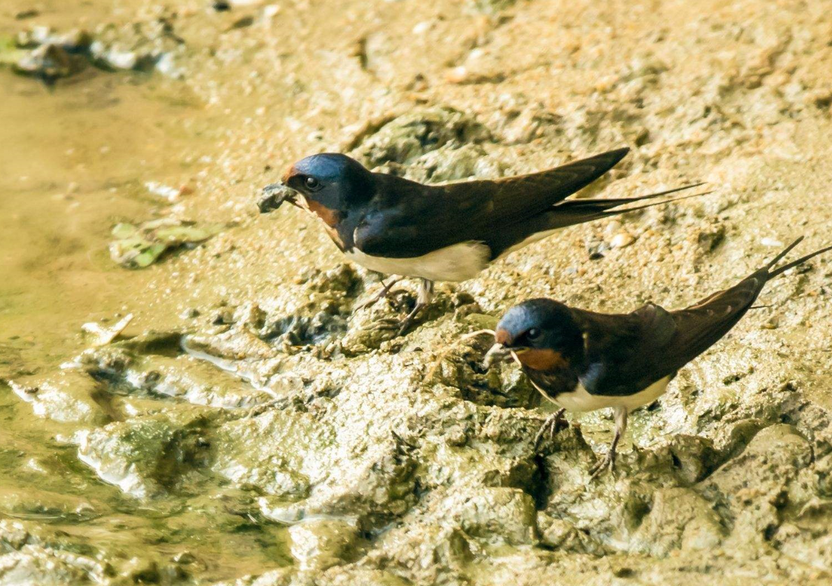 ������������Ҫ���ƣ� (2).png