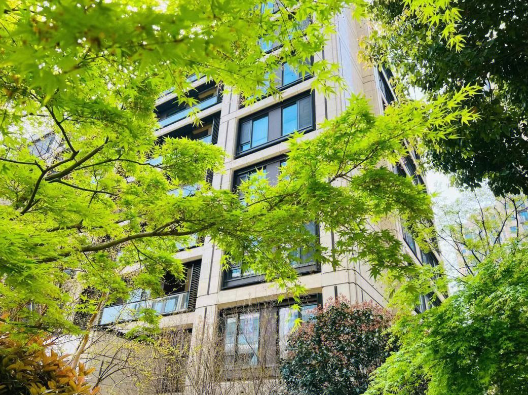 腰线层.png 腰线层.png