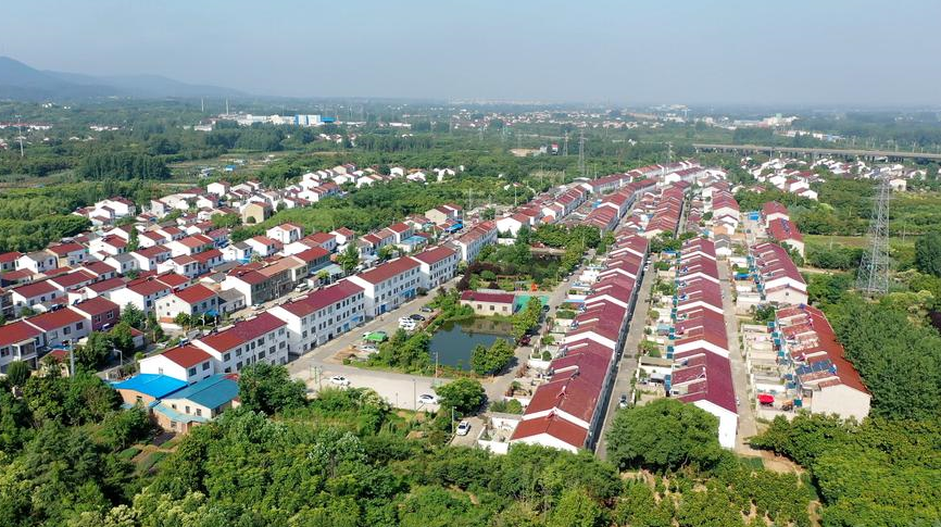 一户一宅政策细则有哪些.png 一户一宅政策细则有哪些.png