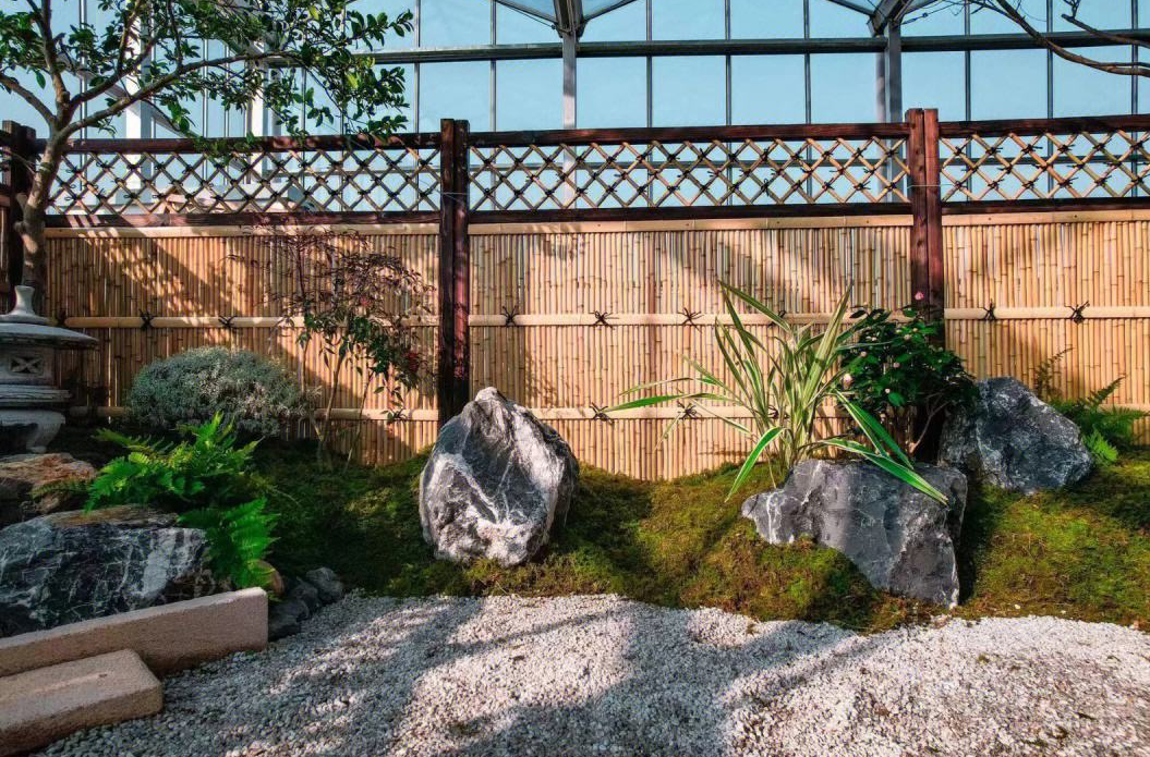 别墅庭院最佳树木 (2).png 别墅庭院最佳树木 (2).png