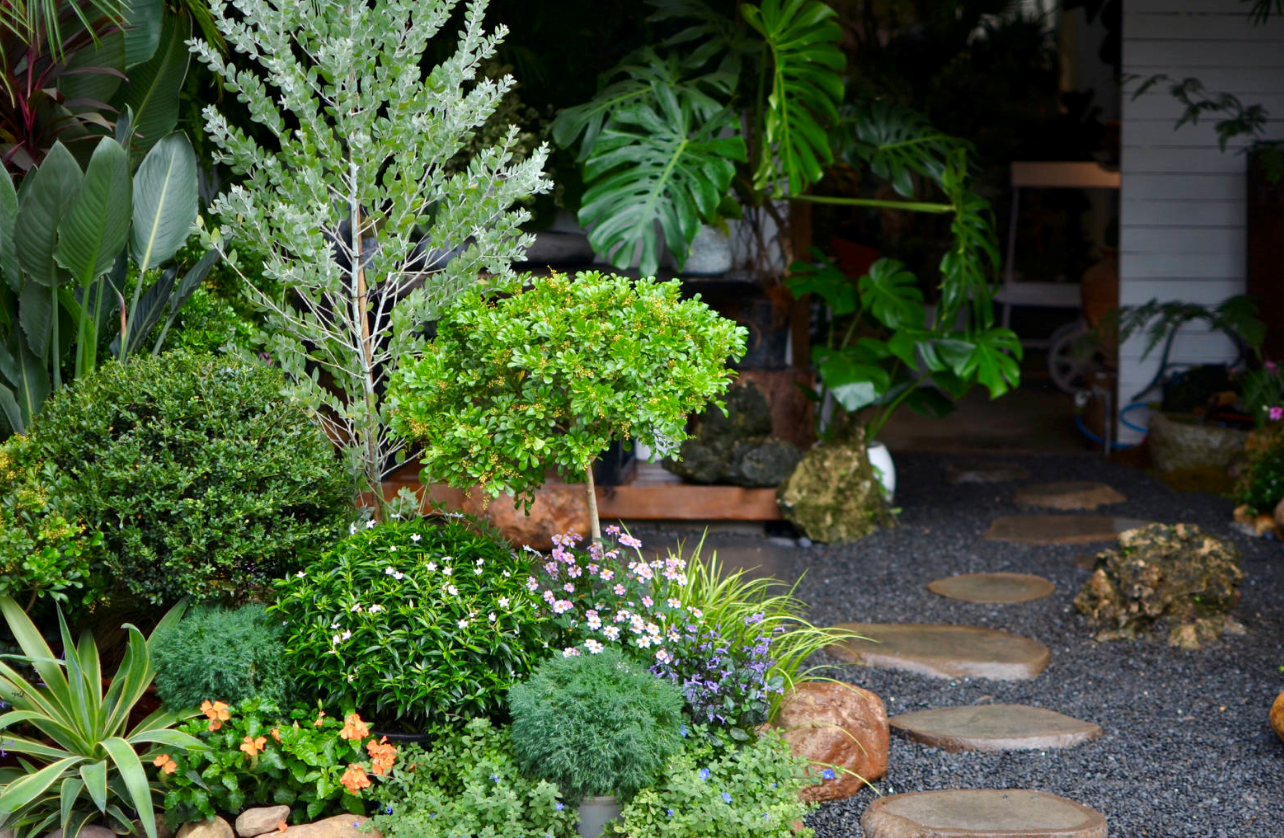 别墅庭院最佳树木 (4).png 别墅庭院最佳树木 (4).png