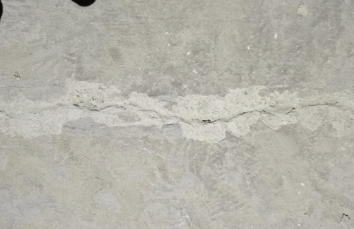 房屋出现裂缝原因有哪些 (2).png 房屋出现裂缝原因有哪些 (2).png