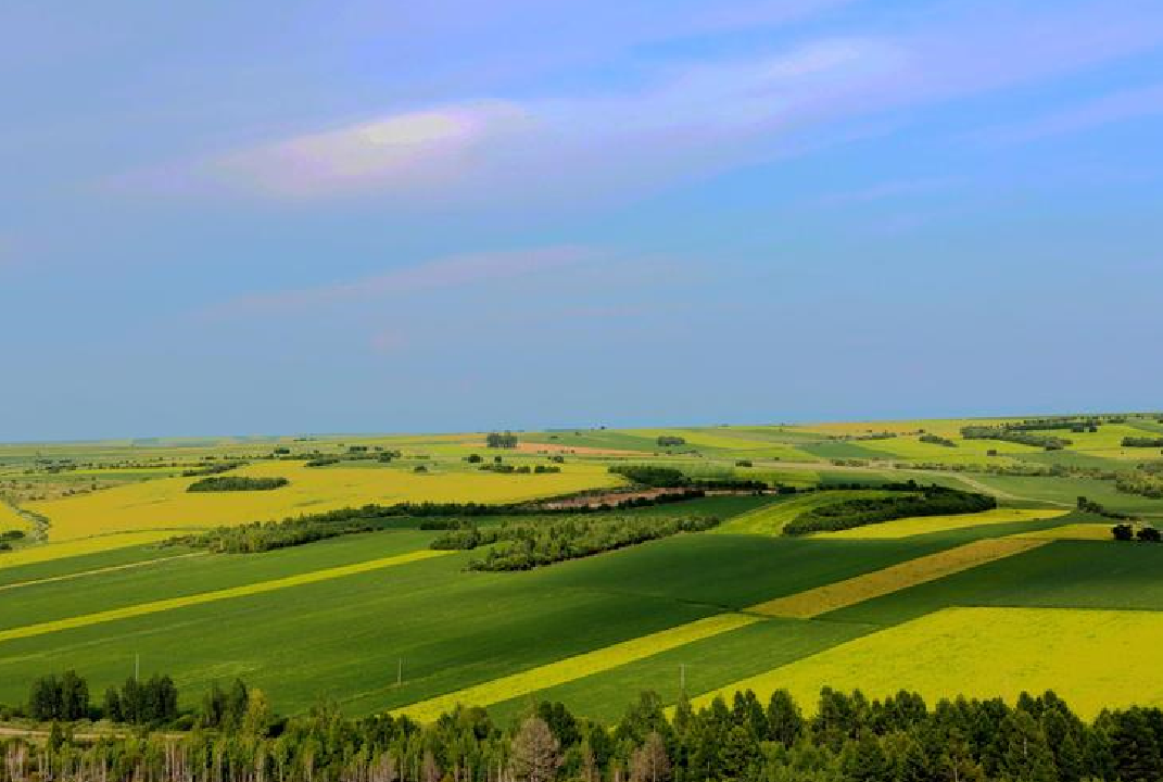 补偿项目标准 (5).png 补偿项目标准 (5).png