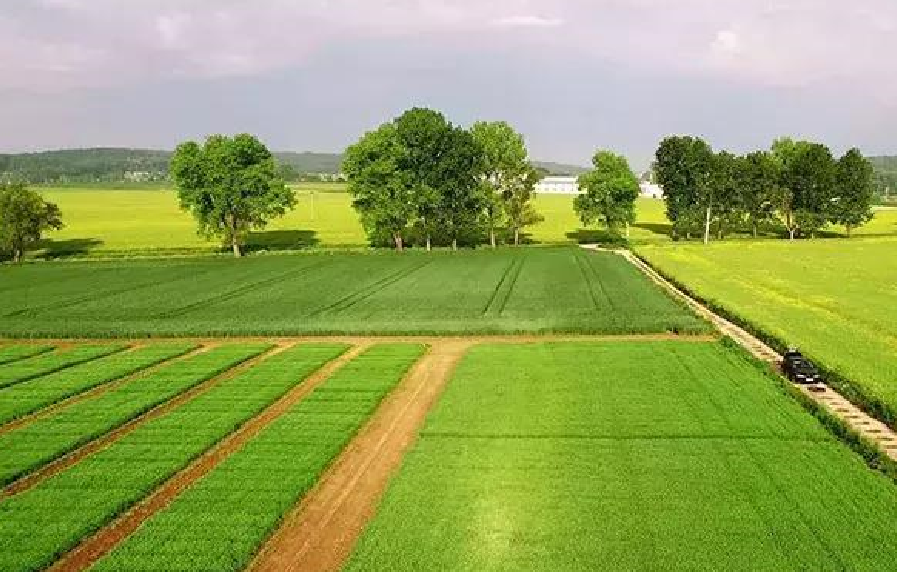 补偿项目标准 (3).png 补偿项目标准 (3).png