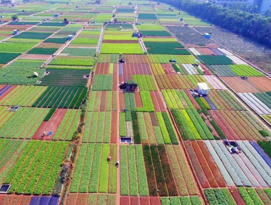 补偿项目标准 (2).png 补偿项目标准 (2).png