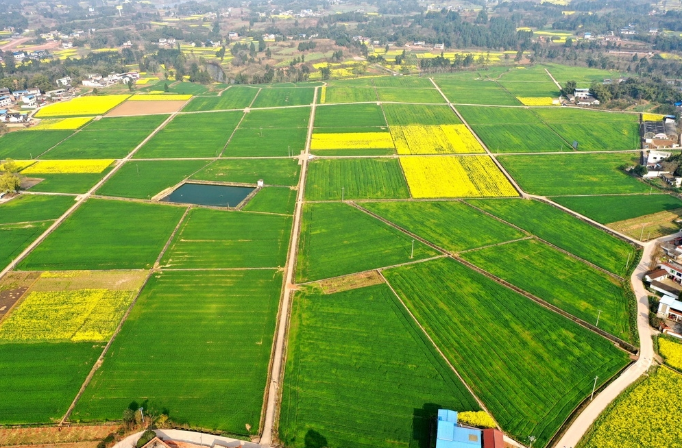 补偿项目标准 (1).png 补偿项目标准 (1).png