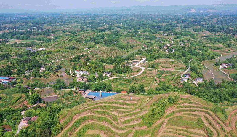 国家临时占地补偿标准是多少钱一亩?_副本.png 国家临时占地补偿标准是多少钱一亩?_副本.png