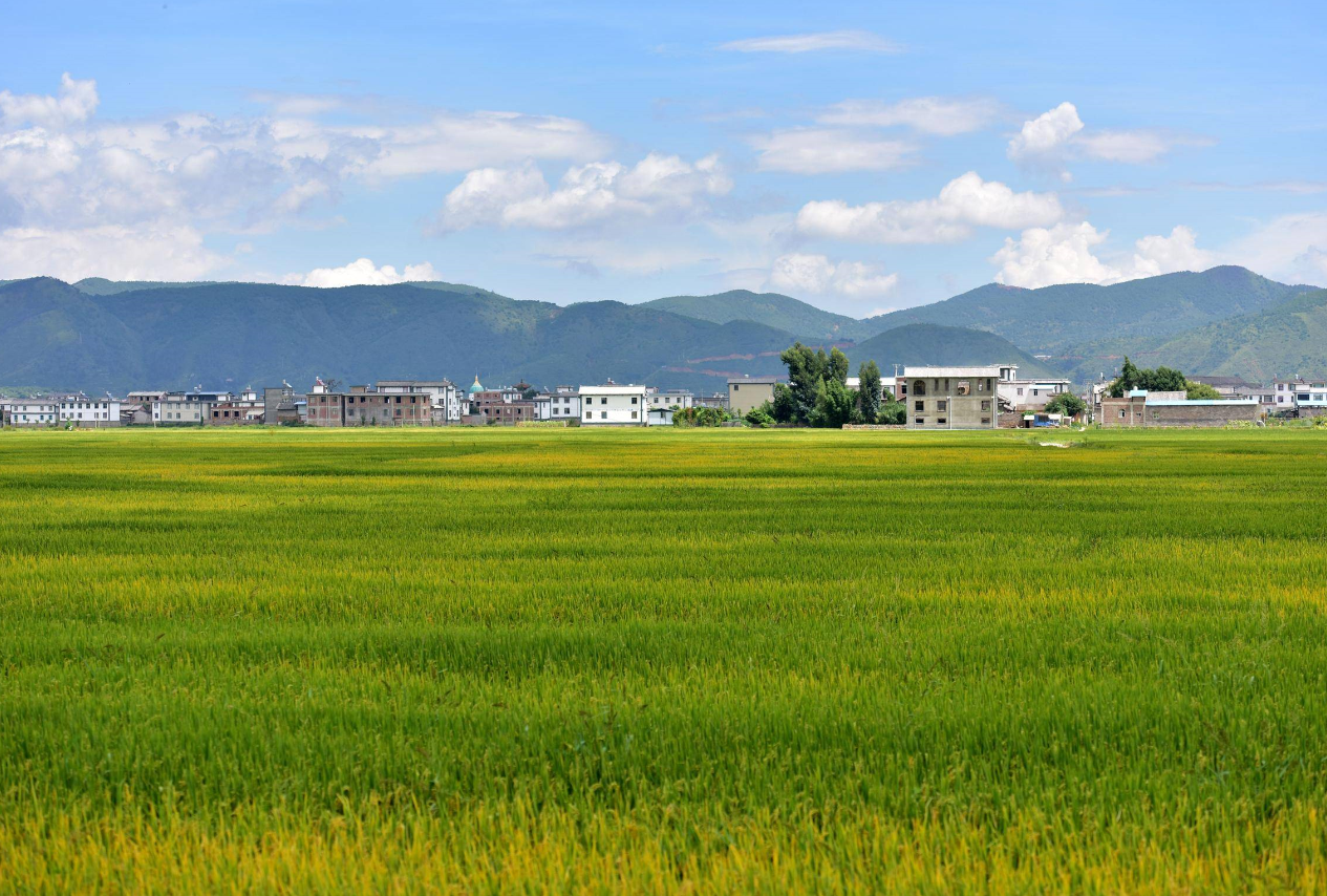 征地拆迁的基本流程有哪些 (1).png 征地拆迁的基本流程有哪些 (1).png